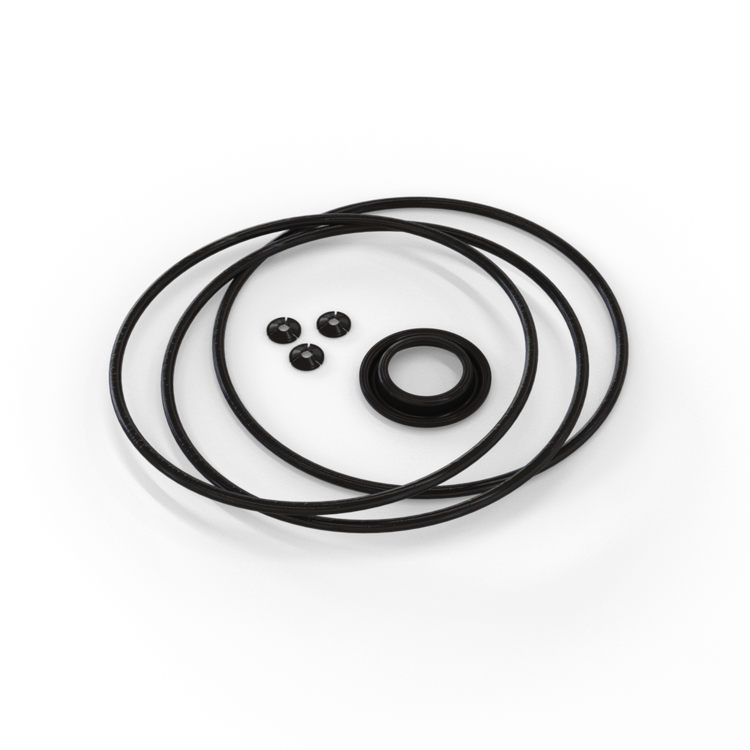 O-Rings & Rubber Seals