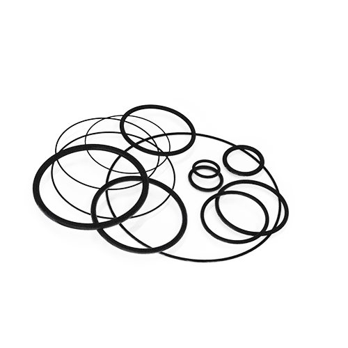 Several O-rings in different sizes 